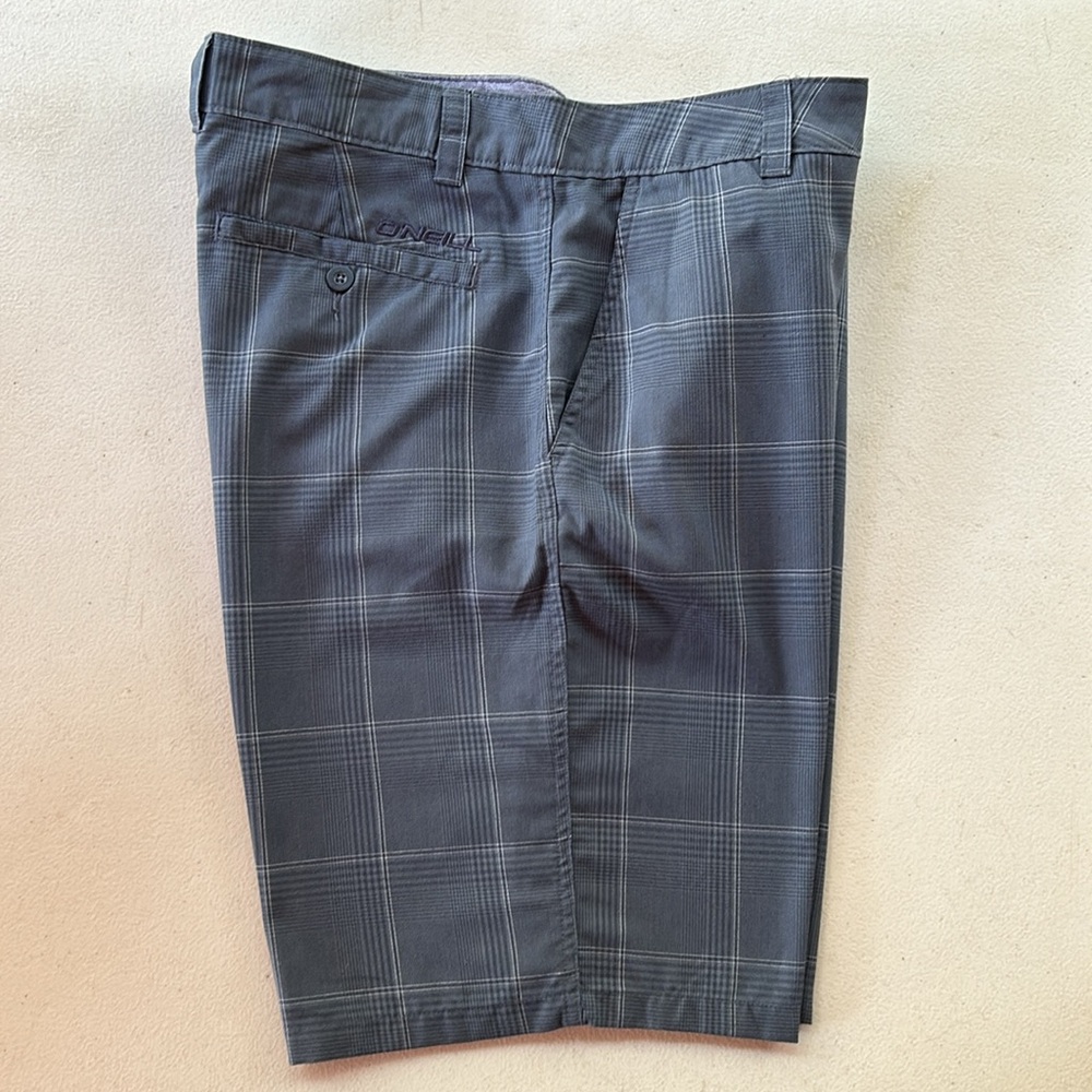 O'Neill Blue Plaid Shorts (34)